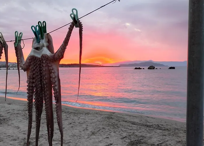 Lejlighed Avanti Chania Luxury Chania (Crete)