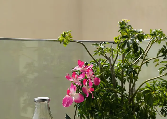 Avanti Chania Luxury Lejlighed Chania (Crete)